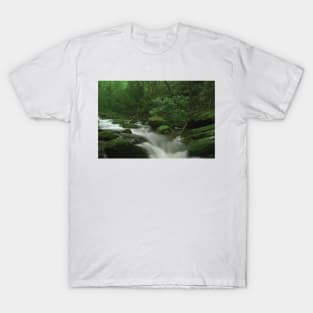 Roaring Fork River Flowing Through The Great Smoky Mountains National Park T-Shirt